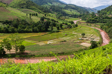 Rice Field, a beautiful natural beauty on mountain in Nan Khun Nan  Rice Terraces,Nan Province, Thailand