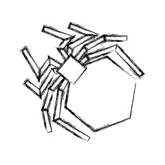 isolated hacker virus spider