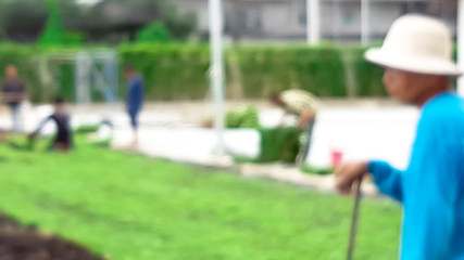 Blur of gardener in process of grass arrangement