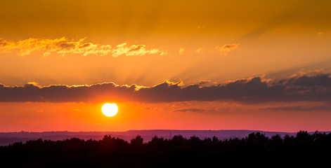 Fototapeta premium Sonnenuntergang über Baumreihe