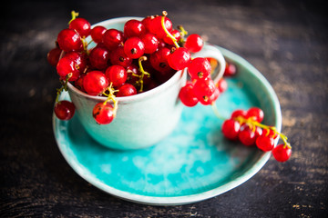 Organic food concept