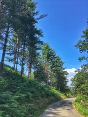 salita verso il colle