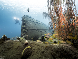 Unterwasser - Riff - Wrack - Schiffswrack - Schwamm - Taucher - Tauchen - Curacao - Karibik