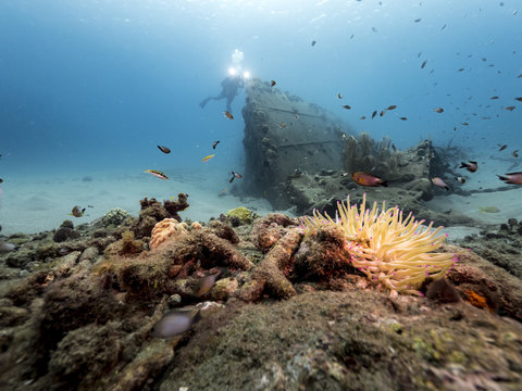 Unterwasser - Riff - Wrack - Schiffswrack - Schwamm - Taucher - Tauchen - Curacao - Karibik