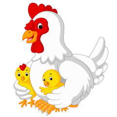 Mother hen with its baby chicks