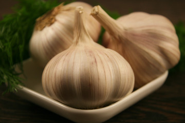 Garlic closeup on wooden background