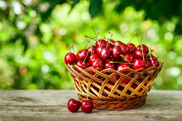 Fototapeta na wymiar cherries in basket on table in garden