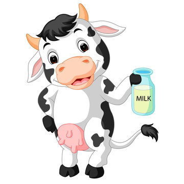 Cow holding milk bottle