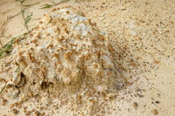 abstract background rift of soil Climate change and drought land