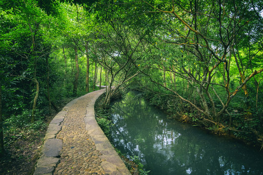 view of trees and water in Xiaoqikong scenic area, Libo, Guizhou, China