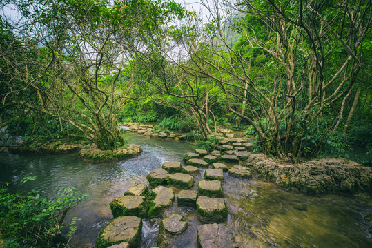 view of trees and water in Xiaoqikong scenic area, Libo, Guizhou, China