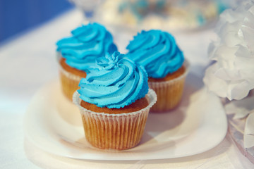 Cupcakes with blue cream