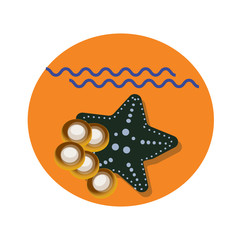 Sea star flat icon with shadow and sea