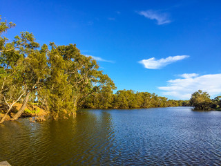 Overlooking at the river flows