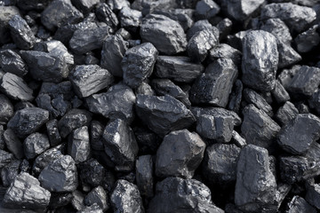 Coal