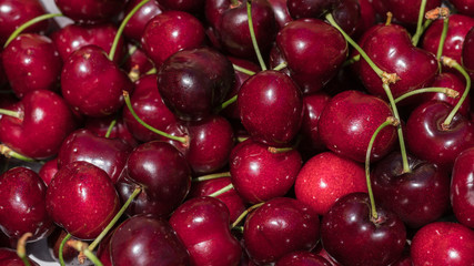 cherry detail macro of delicious fresh ripe red cherries with bright green stem, perfect food background Sweet cherry background. Cherry from Bolea Aragon Huesca Spain
