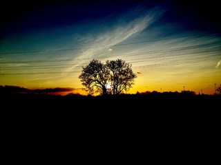 Fototapeta na wymiar heart tree sunset beauty