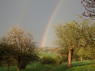 Tęcza w sadżie © Konrad