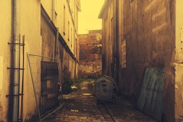Fototapeta na wymiar backyard alley