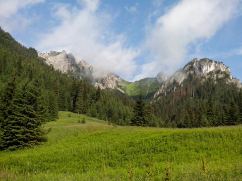 Imagens de Gury Explore Fotografias do Stock, Vetores e Vídeos de 36