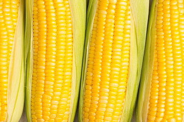 Closeup of Fresh corn on cobs on wooden table.