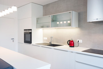 Modern kitchen interior with with built-in appliances
