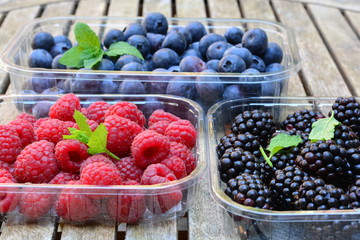 Raspberries, blue berries and black berries on a wooden garden table