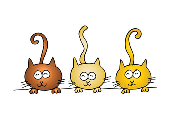 Three cats. Cartoon style.