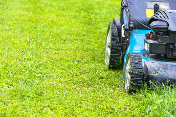 Obraz premium Mowing lawns, Lawn mower on green grass, mower grass equipment, mowing gardener care work tool, close up view, sunny day