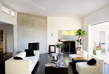 Luxurious living room interior in contemporary style