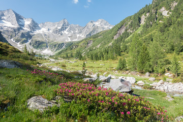 Berglandschaft und Wandergebiet in den Alpen