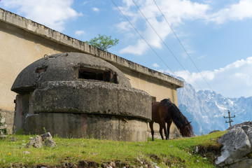 Albania: grassing horse and bunker in front of mountain scenery