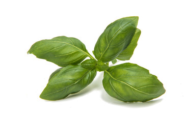 Basil isolated