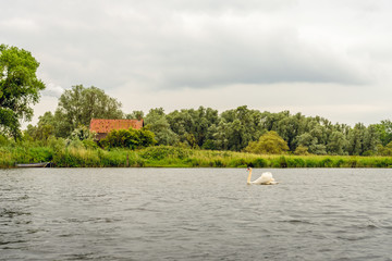 Fototapeta na wymiar Idyllic place in a Dutch nature reserve