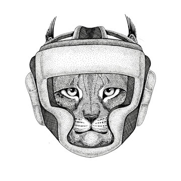 Wild cat Lynx Bobcat Trot Wild boxer Boxing animal Sport fitness illutration Wild animal wearing boxer helmet Boxing protection Image for t-shirt, poster, banner