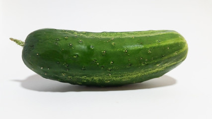 Cucumber