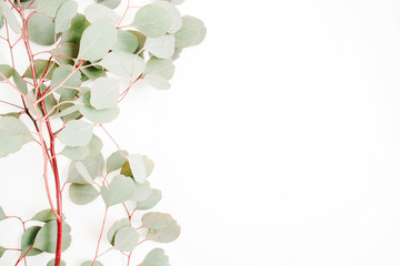 Fototapeta na wymiar Beautiful eucalyptus branches on white background. Flat lay, top view. Lifestyle composition.