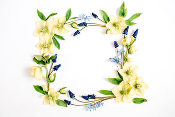 Frame wreath made of hellebore flower, muscari flower and leaf on white background. Flat lay, top view. Blog, social media or website background.