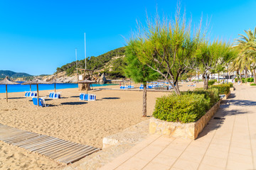 Obraz premium Sandy beach with umbrellas and sunbeds in Cala San Vicente bay on sunny summer day, Ibiza island, Spain