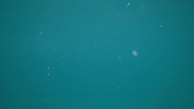 Beautiful shot of yellow plastic duck floating in blue water of swimming pool, filmed with an underwater camera - video in slow motion