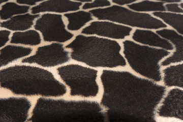 Hintergrund mit Struktur im Fell