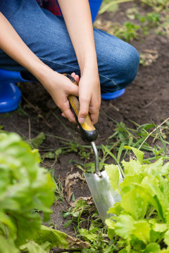 Closeup image of young woman digging soil with trowel at garden