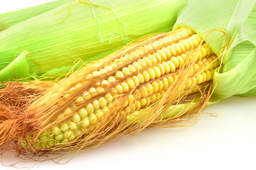 corn