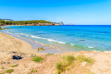 Fototapeta na wymiar View of Cala Nova beach on sunny summer day, Ibiza island, Spain