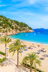 View of sandy beach with palm trees in Cala San Vicente bay, Ibiza island, Spain