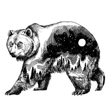 Vector bear double exposure tattoo art. Canada. Mountains, compass. Brown bear Bear grizzly silhouette t-shirt design Tourism symbol, adventure, great outdoor.