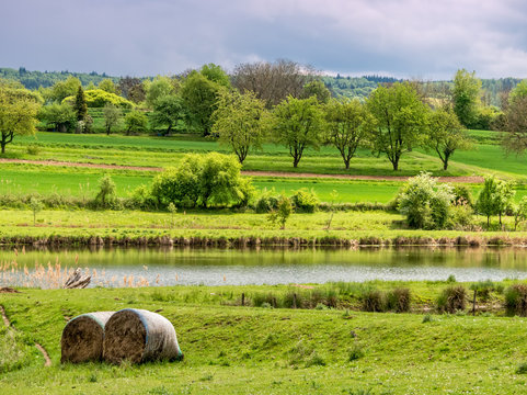 Ettenheim, Germany - Countryside 17