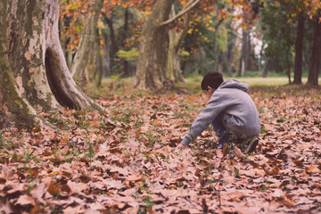 Boy playing with leaf in autumn