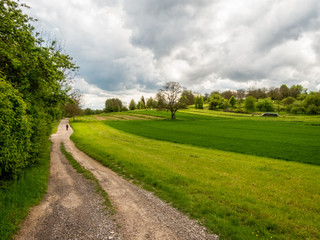 Ettenheim, Germany - Countryside 12