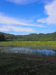 秋田県仙北市 大沼公園